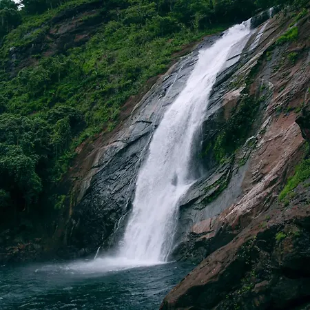 Green And Green Vagamon Exterior photo