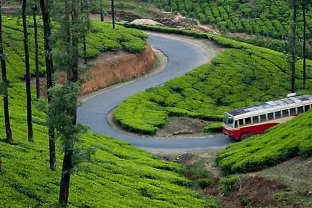 Green And Green Vagamon Exterior photo
