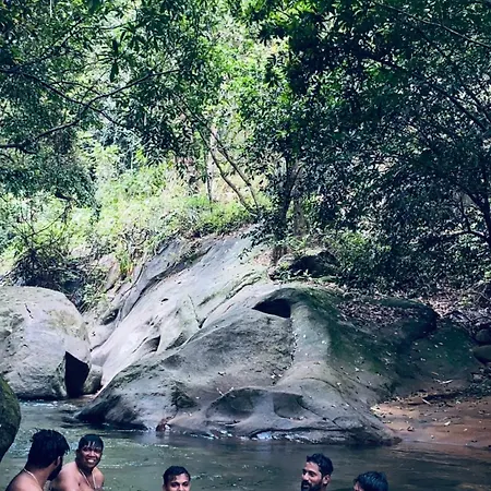 Green And Green Vagamon Exterior photo