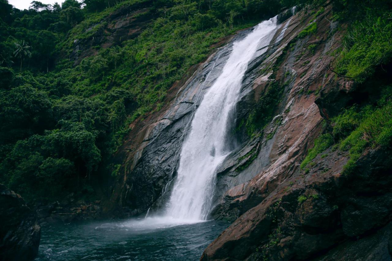 And * Vagamon