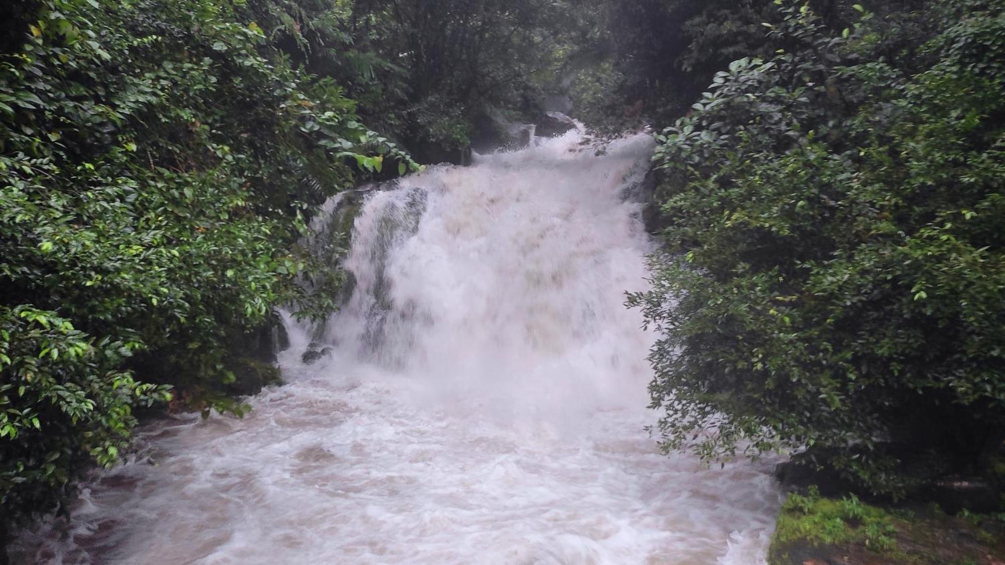 And Vagamon
